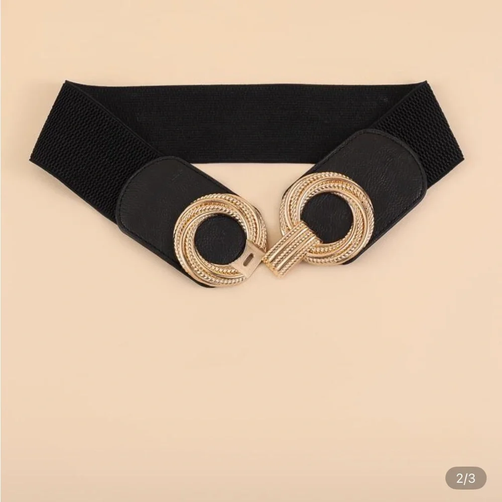 Zara Black Belt with Gold Interlocking Buckle - Picture 5 of 7